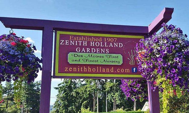 40% OFF vegetable and annuals sale starts this weekend at Zenith Holland Nursery