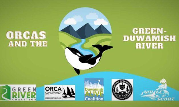 Orca Day will be Saturday, June 4 in Tukwila