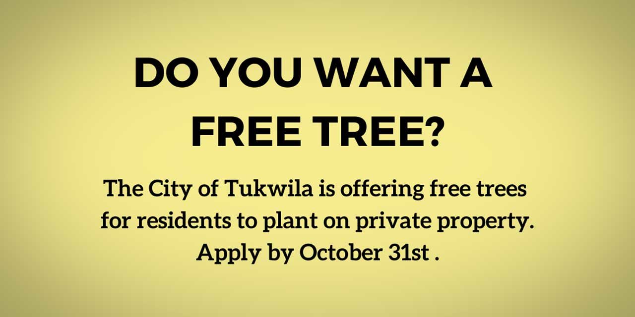 Tukwila residents can apply to receive free trees through tree giveaway