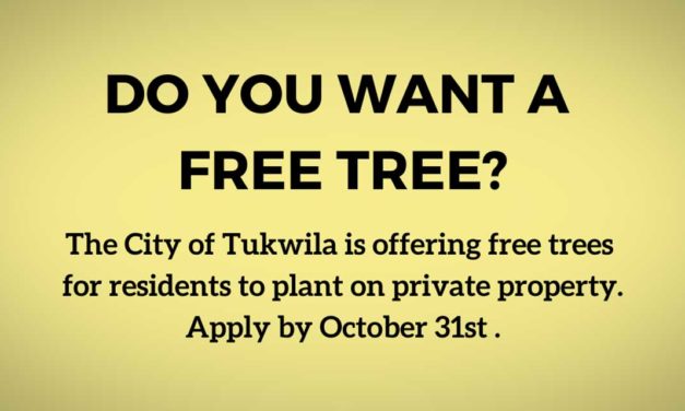 Tukwila residents can apply to receive free trees through tree giveaway